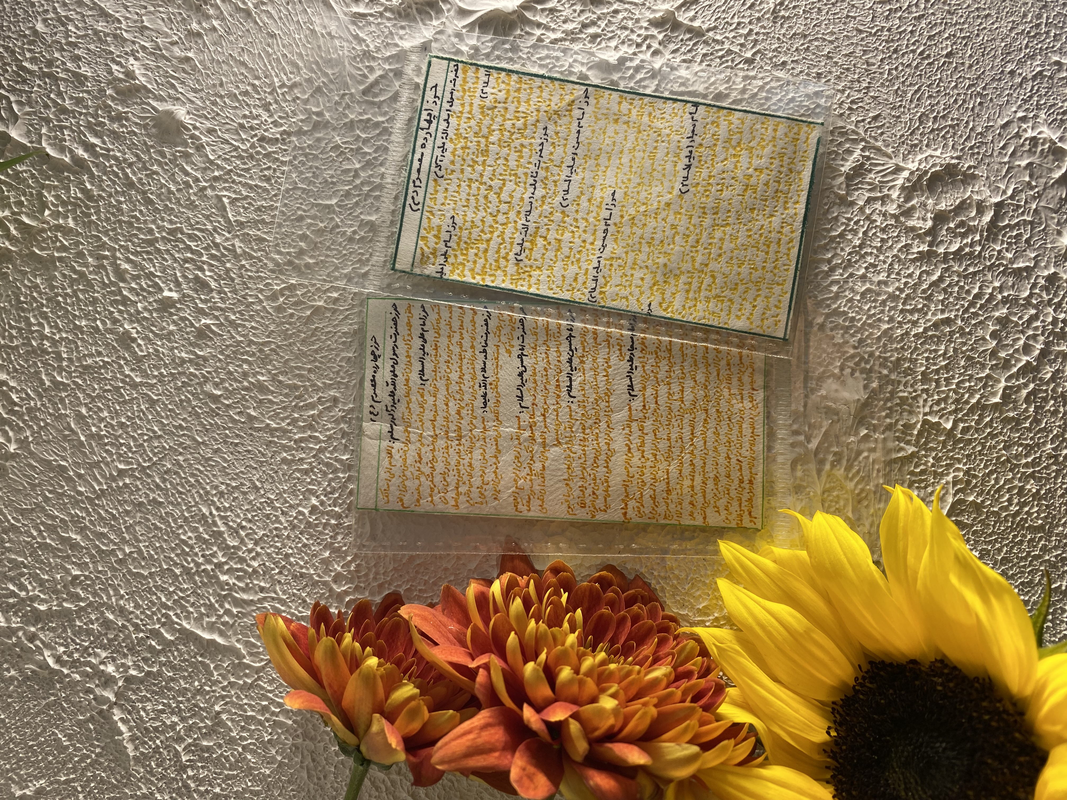 حرز۱۴معصوم زعفران نویس